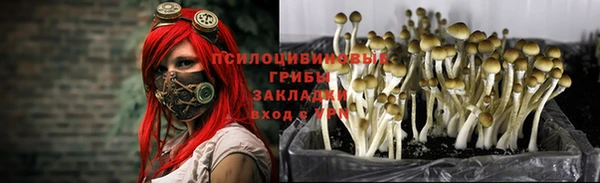 мефедрон Каменногорск