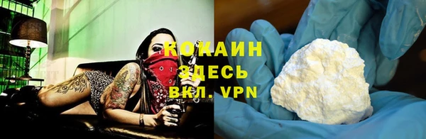 ПСИЛОЦИБИНОВЫЕ ГРИБЫ Касимов