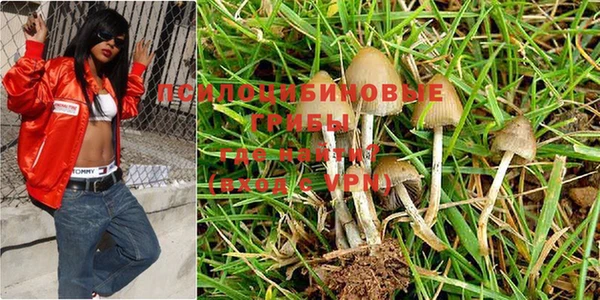 MESCALINE Каменка