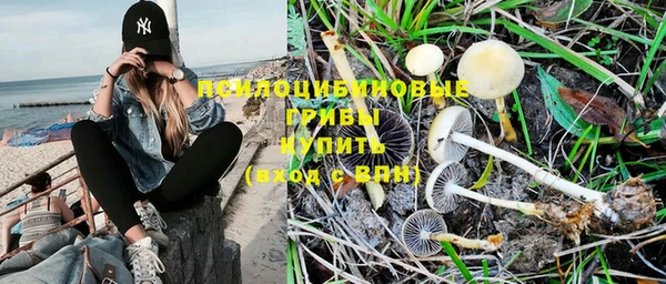 мефедрон Каменногорск