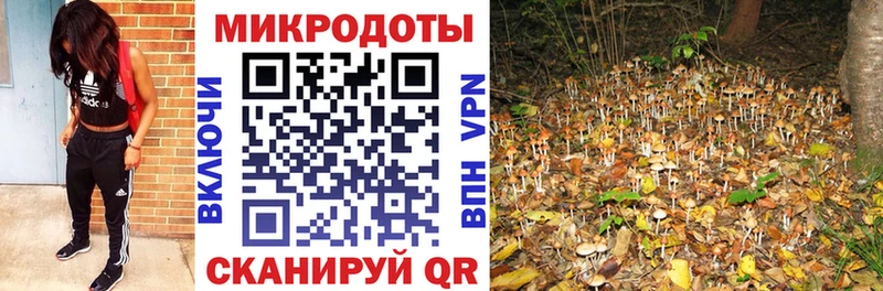 Купить  Дедовск  Псилоцибиновые грибы Magic Shrooms 