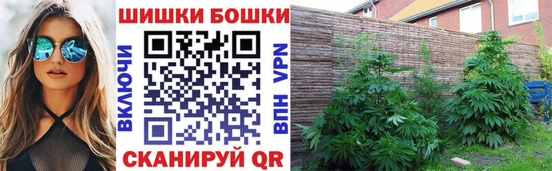 Бошки марихуана OG Kush Дедовск